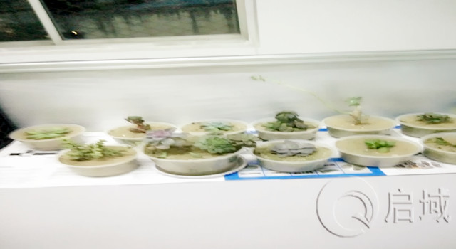 香蕉视频色版APP金屬辦公室